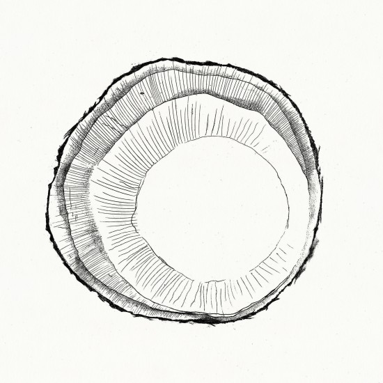 Interior 2 | etching | 2017 | 21x21cm